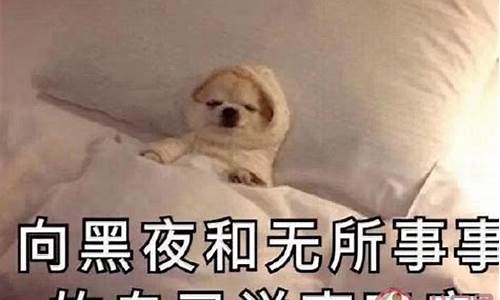 形容睡眠好的成语_形容睡眠好的成语有哪些