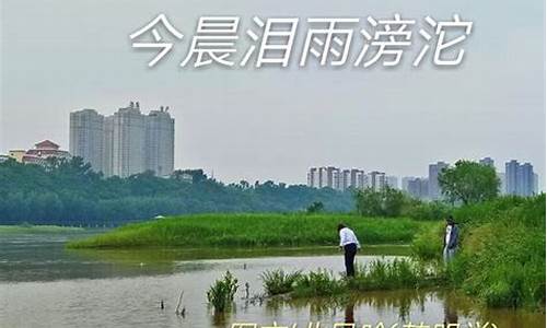 泪雨滂沱_泪雨滂沱怎么读