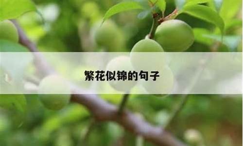 用繁花似锦造句子二年级_根据繁花似锦的意思造句