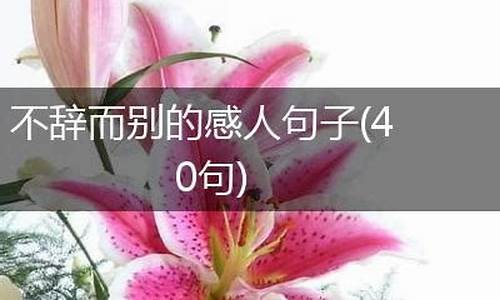 不辞而别造句长句大全最新_不辞而别怎么写